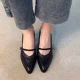 KYLETHOMASW  -  Vintage Spring Thick Heel Women Mary Jane Shoes Shallow Buckle Strap Shoes Ladies Elegant Pointed Toe Dancing Party Pumps