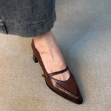 KYLETHOMASW  -  Vintage Spring Thick Heel Women Mary Jane Shoes Shallow Buckle Strap Shoes Ladies Elegant Pointed Toe Dancing Party Pumps