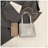 KYLETHOMASW  -  High-End Hand-Held Small Bag for Women 2025 New Trendy Fashion Texture Mini Bucket Bag Summer Chain Crossbody Bag