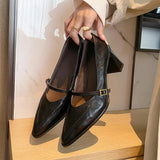 KYLETHOMASW  -  Vintage Spring Thick Heel Women Mary Jane Shoes Shallow Buckle Strap Shoes Ladies Elegant Pointed Toe Dancing Party Pumps