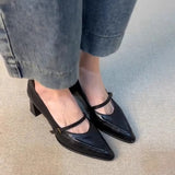 KYLETHOMASW  -  Vintage Spring Thick Heel Women Mary Jane Shoes Shallow Buckle Strap Shoes Ladies Elegant Pointed Toe Dancing Party Pumps