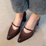 KYLETHOMASW  -  Vintage Spring Thick Heel Women Mary Jane Shoes Shallow Buckle Strap Shoes Ladies Elegant Pointed Toe Dancing Party Pumps