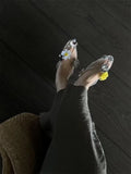KYLETHOMASW  -  New style pointed-toe open-toe sandals with flat sole, jelly-style shoes, DIY shoes, floral handcrafted with crystals and nettin